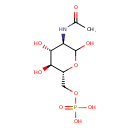 HMDB0001062 structure image